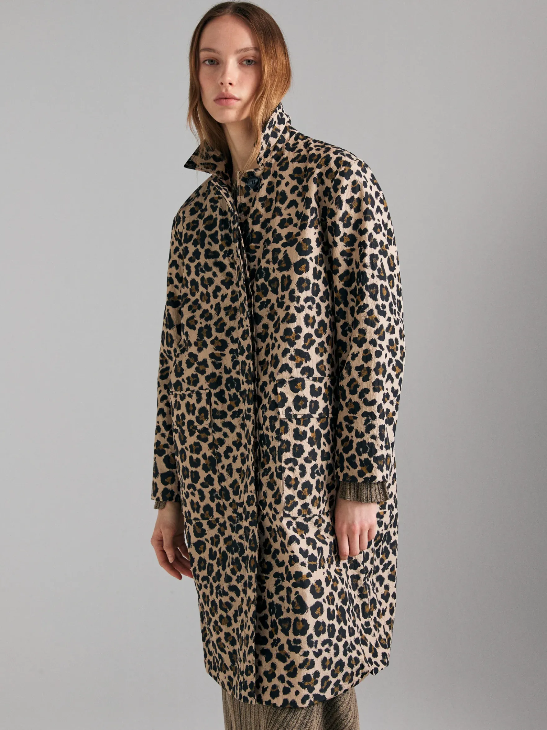 Spolverino animalier